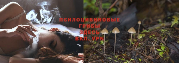 МДПВ Верхний Тагил