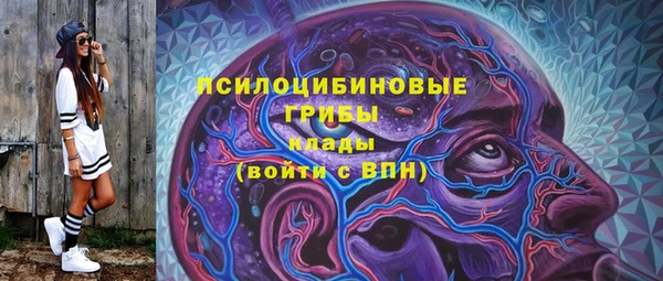МДПВ Верхний Тагил