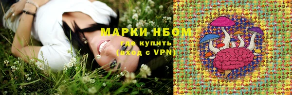 МДПВ Верхний Тагил