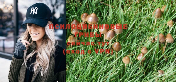 PSILOCYBIN Верея