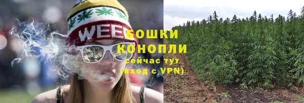 МДПВ Верхний Тагил
