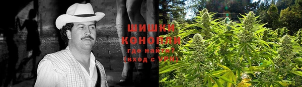 PSILOCYBIN Верея