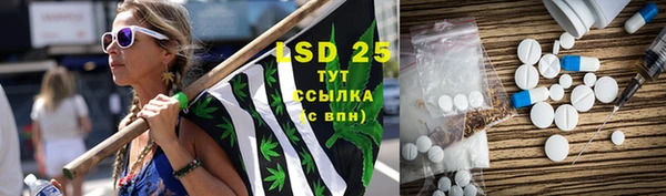 PSILOCYBIN Верея